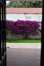 Bedda Casa Al Mare