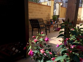 Plemonsicily's Home