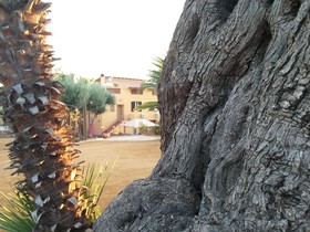 B&B Lekythos