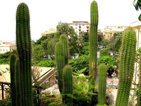 Bed & Breakfast Le Palme