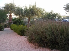 Il Mirto e la Rosa