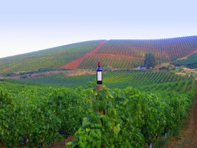 Agriturismo Tarantola