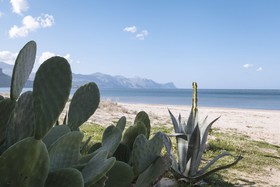Casa Vacanze Ibiscus