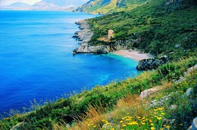Case Vacanze Orchidea