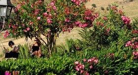 Villa Dafne