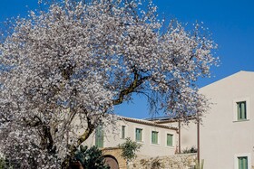 Fontes Episcopi