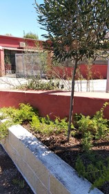 B&B Vecchia Darsena