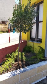 B&B Vecchia Darsena
