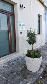 B&B Vecchia Darsena
