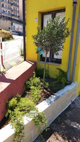 B&B Vecchia Darsena