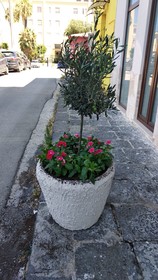 B&B Vecchia Darsena