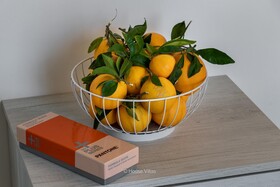 Elaia Bioglam Relais