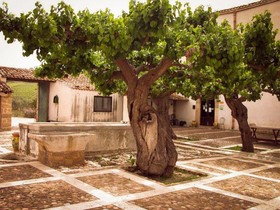 Fattoria Manostalla
