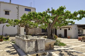 Fattoria Manostalla