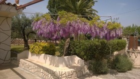 Agriturismo Le Zarafe