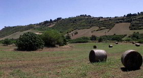 Casale delle Rose
