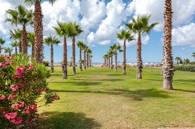 Acacia Resort
