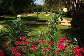 Acacia Resort