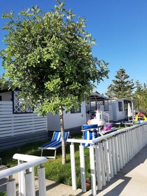 Campeggio Praia Mare