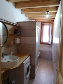 Il Fenicottero