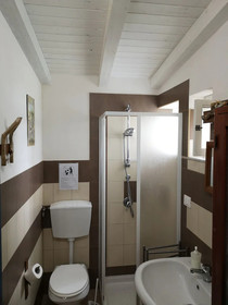Il Fenicottero
