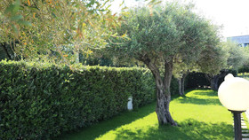 Nettuno Resort