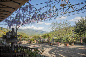 Azienda Agrituristica Bergi
