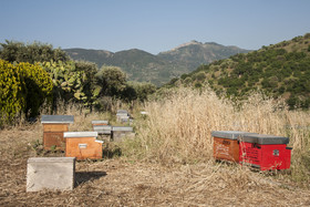 Azienda Agrituristica Bergi