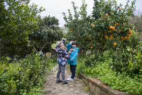 Azienda Agrituristica Bergi