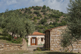 Azienda Agrituristica Bergi