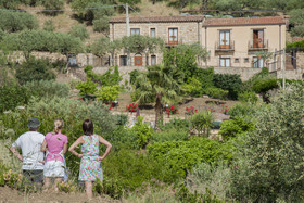 Azienda Agrituristica Bergi