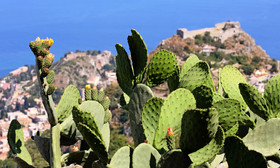 Villa Regina