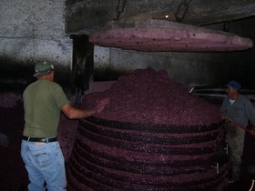 Etna Wine Agriturismo