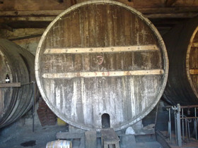 Etna Wine Agriturismo