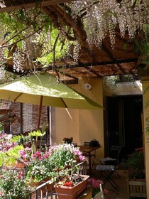 Inn The Garden
