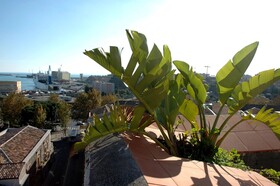 San Placido Inn Bed & Breakfast
