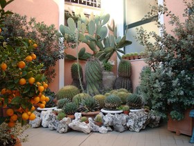 Villa Romeo