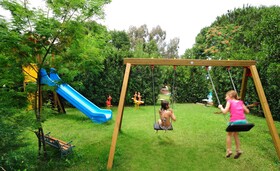 Alberi del Paradiso