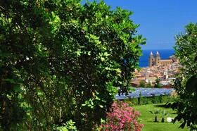 Alberi del Paradiso