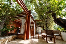 Alberi del Paradiso