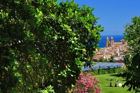 Alberi del Paradiso