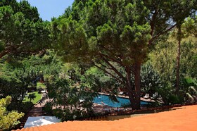 Alberi del Paradiso