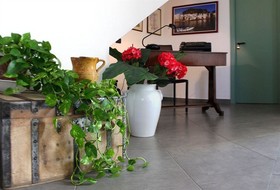 Bouganville B&B