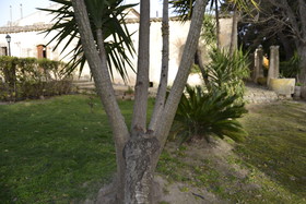Villa Zottopera