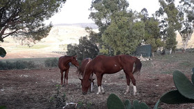 Chiosi Country Club