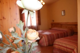 Hotel Il Cortile