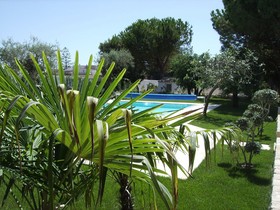 Il Giardino Dei Carrubi