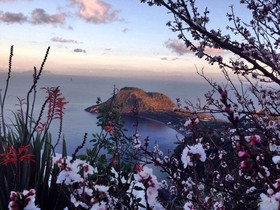 Villa La Rosa