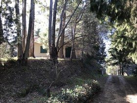 Villa Uliveto