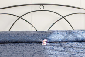 Veda Elegant Rooms